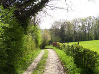 images/album2/3.jpg