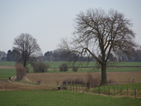 images/album2/95.jpg